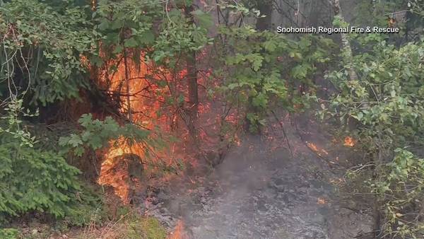 VIDEO: Crews losing ground on Bolt Creek Fire