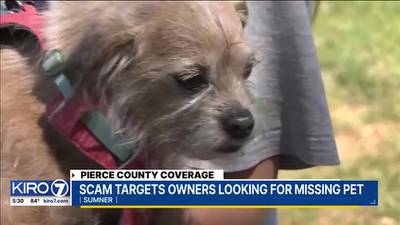 Sumner police warn about new scam targeting missing pet owners