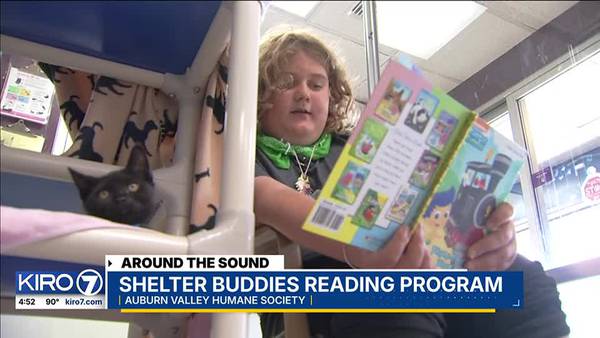 Around the Sound: Kids read to cats to practice skills in Shelter Buddies program