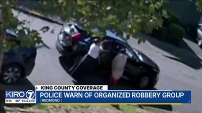 VIDEO: Police warn of organized robbery group