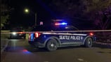 Seattle gunfights injure one, suspects not found