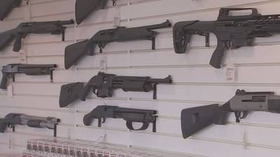 Legislators hear testimony on banning sale of assault weapons 