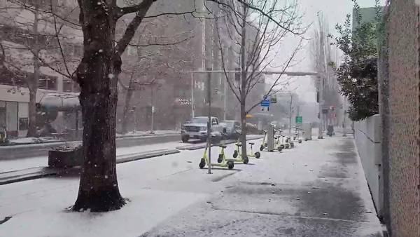 RAW: Snow falling in Downtown Seattle