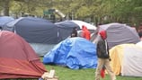 Hundreds of asylum seekers now in Seattle encampment in a Central District park