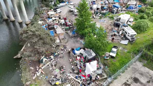 RAW: Drone footage over 1st Ave bridge encampment
