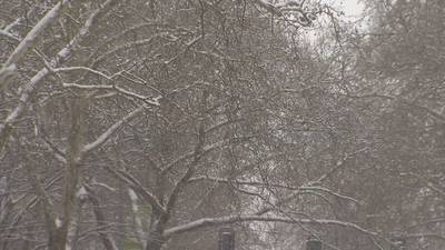 Wintry weather causing more outages in Western Washington