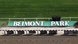Belmont Stakes: Arcangelo wins third jewel of horse racing’s Triple Crown