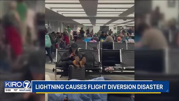 Lightning sparks flight diversion disaster leaving hundreds stranded in Everett