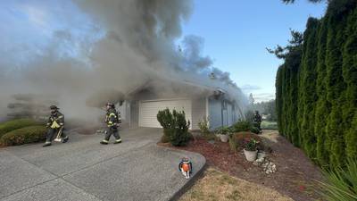 Photos: Bellevue neighbor wakes residents just before their home burns