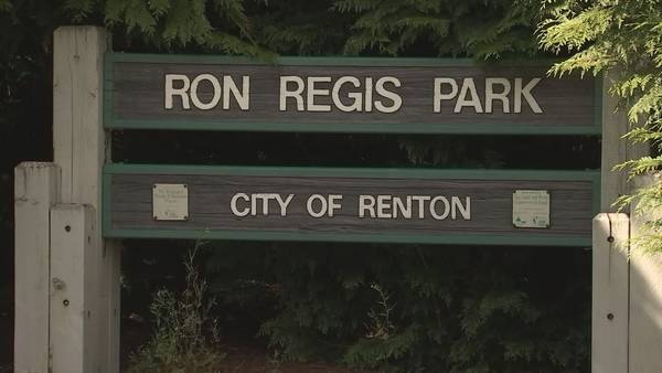 VIDEO: Shooting at Renton park leaves 4 teens wounded, 2 critically