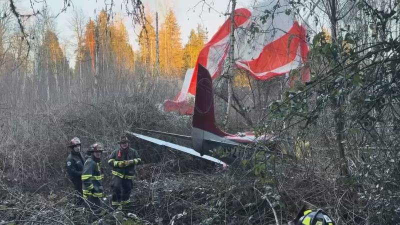 A pilot and a passenger were unhurt when their plane went down in Bellevue's Newport Hills neighborhood on March 5, 2024.