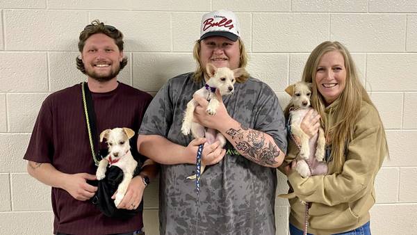 3 puppies from Texas shelter adopted by 3 members of Tyler Childers’ road crew