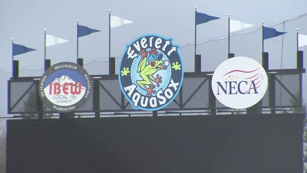 ‘They’d be screwed’: Businesses could be displaced as Everett considers options to save AquaSox