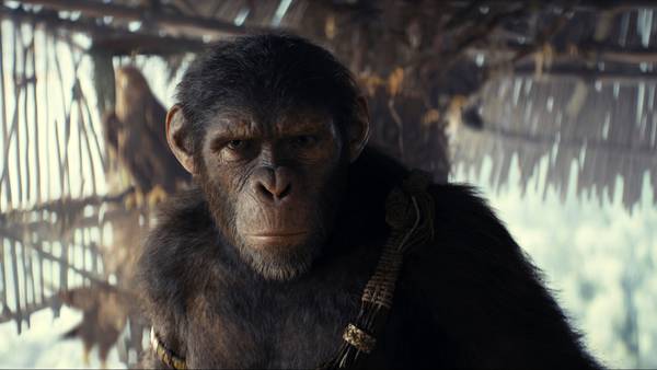 'Kingdom of the Planet of the Apes' reigns at the box office with $56.5 million opening