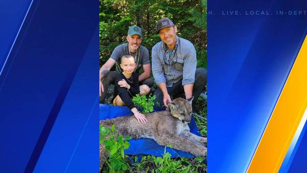 VIDEO: 9-year-old cougar attack victim returns to woods to help with research