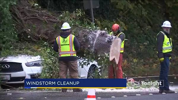 Storm cleanup continues with more wet weather this week