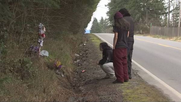 ‘Do it for Zoey’: Grieving family urges suspect in deadly Roy crash to turn himself in