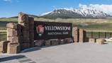 Gunfire exchanged at Yellowstone National Park leaves one dead
