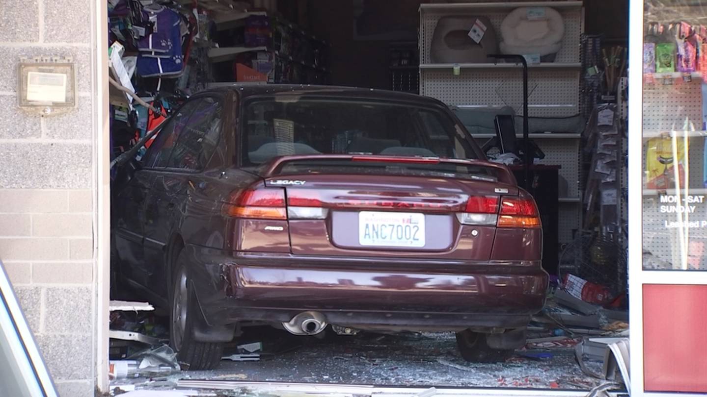 Two injured after car drives into Issaquah pet store KIRO 7 News Seattle