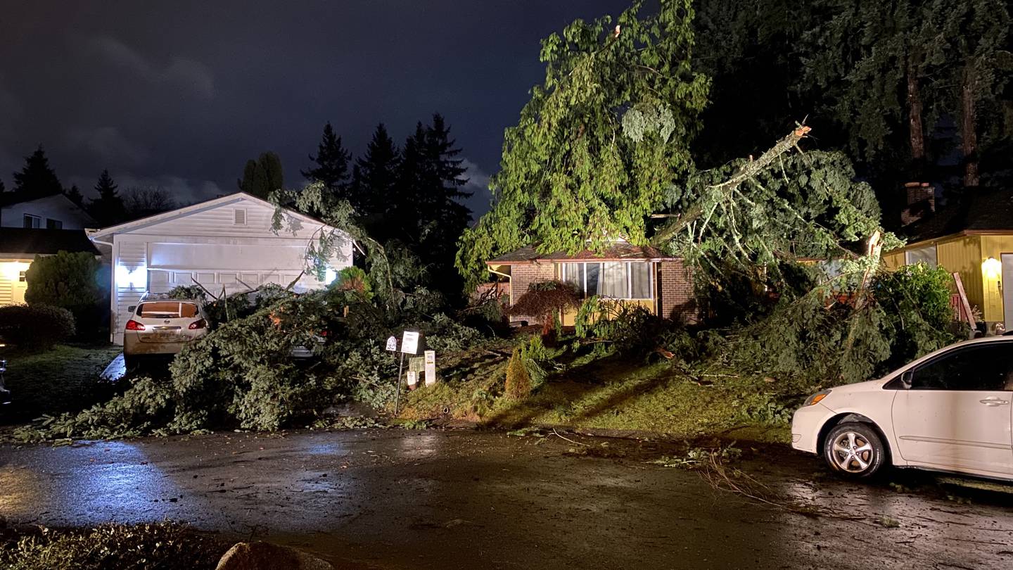 强风袭击，导致西华盛顿数千户家庭断电