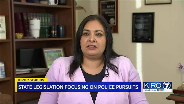 Sen. Mankha Dhingra on proposed changes to bill prohibiting police from chasing suspects