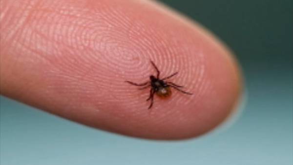 Tick season is upon us, WA State Department of Health says