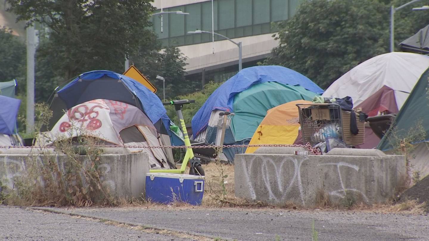 刚创立不到两年的旨在结束西雅图无家可归问题的倡议宣告失败