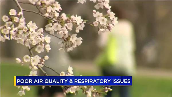 Poor air quality may cause sinus problems, study says