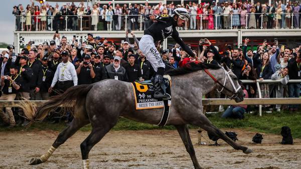 A real mudder: Seize the Grey wins 149th Preakness
