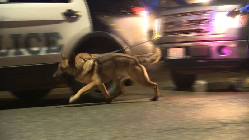 A Washington State Patrol dog trained to look for weapons and shell casings was brought to the scene as officers collected evidence.