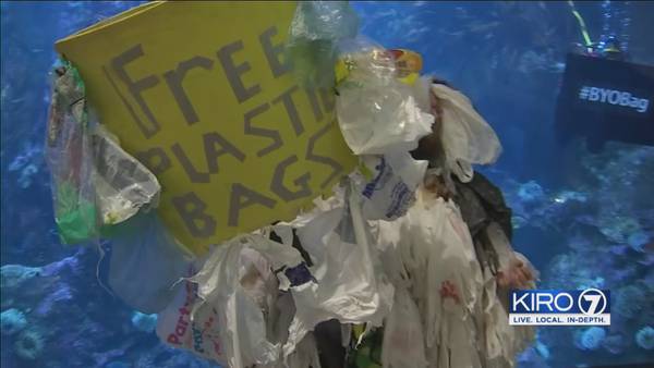 'Reusable Bag Bill' proposes statewide ban on single-use plastic carryout bags