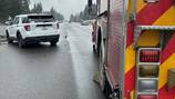2 dead in crash involving Washington State trooper near Shelton
