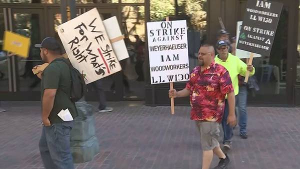 VIDEO: Weyerhaeuser employees picket outside company headquarters