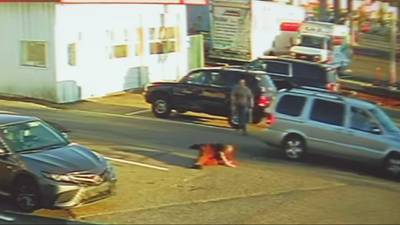 Bremerton police search for driver in laundromat hit-and-run