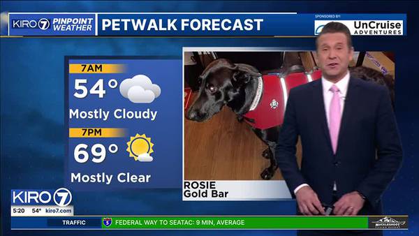 Pet Walk Forecast for Tuesday