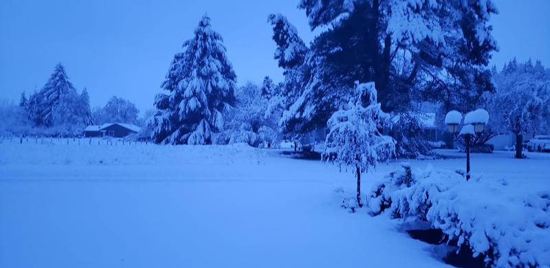 Snow in Mossyrock, WA