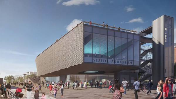 VIDEO: Seattle to loan aquarium $20 million to finish expansion project