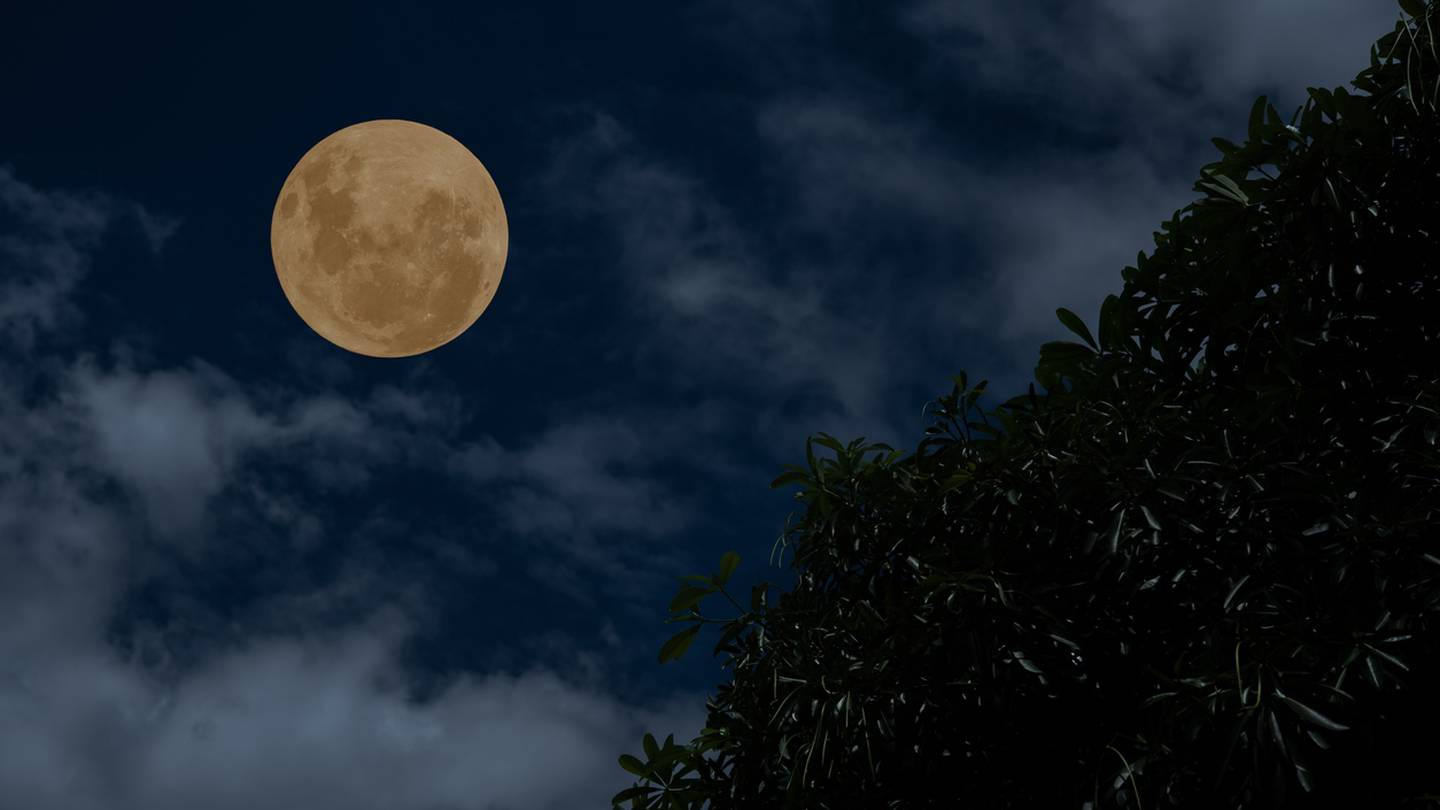 Cold Moon akan menjadi bulan purnama terakhir tahun 2023 – KIRO 7 News Seattle