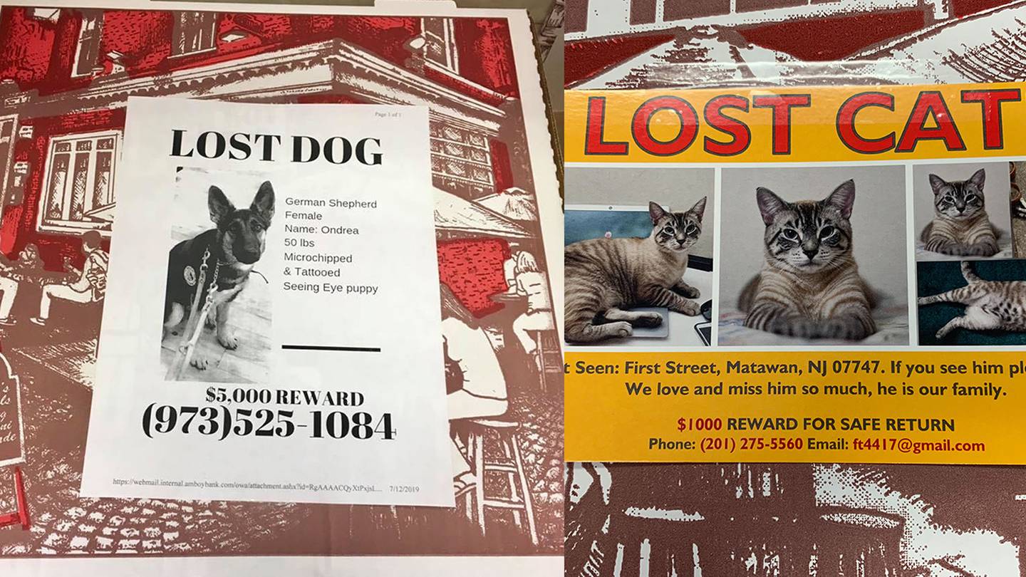 Matawan Pizzeria Puts Missing Pet Pics On Their Pizza Boxes