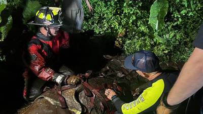 Horse "Nanna" rescued after being stuck in mud for hours