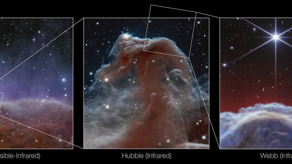 A horse-shaped nebula gets its close-up in new photos by NASA's Webb telescope