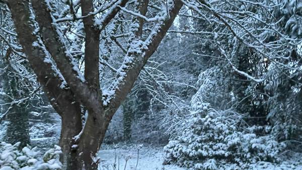 Snow falls in parts of Western Washington as cold air moves in; more possible