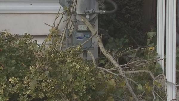 Wind knocks out power, trees into houses in North Sound