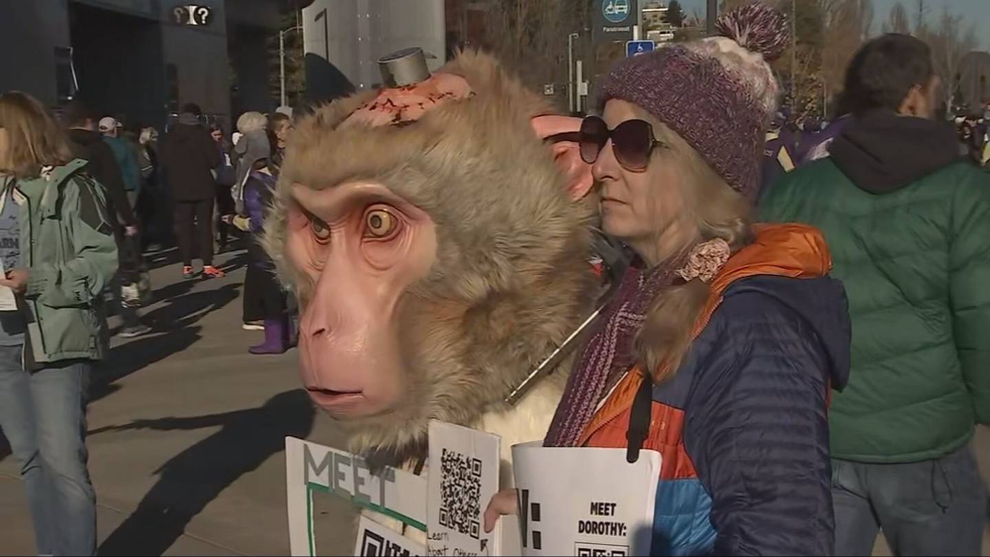 动物权益组织PETA在苹果杯上以大型猴子标志抗议华盛顿大学研究中心