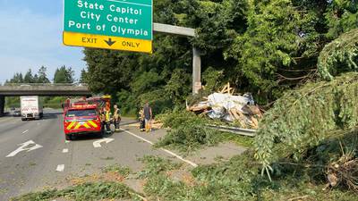 Photos: Truck driver suspected of DUI crashes into tree, spilling lumber across I-5 in Olympia