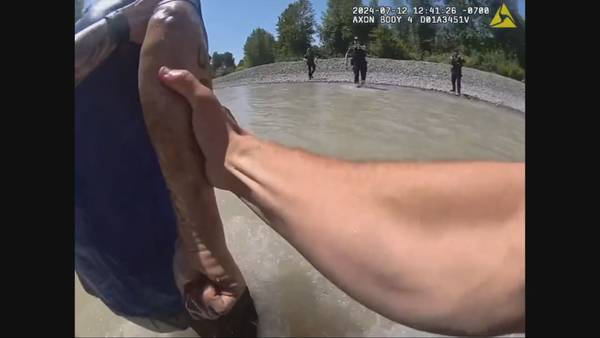 Another suspect ends up in the Puyallup River during deputy pursuit