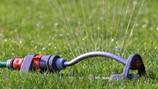 City of Lacey to begin mandatory watering schedule June 1