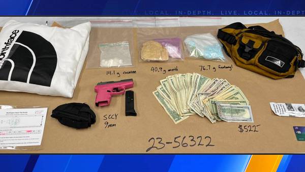 Marysville theft leads to arrest, discovery of drugs, gun