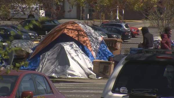 VIDEO: Kent City Council gets detailed update on camping ban proposal