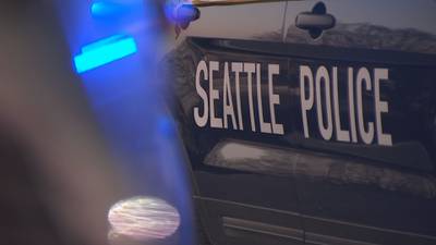 Two injured in South Seattle stabbing